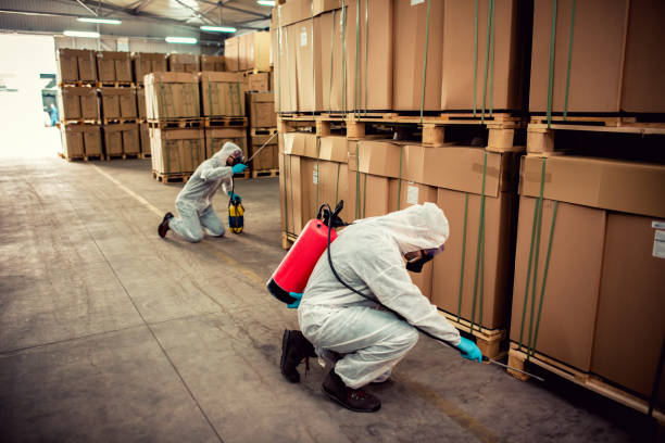 Best Cockroach Control Services  in Brooklyn, NY