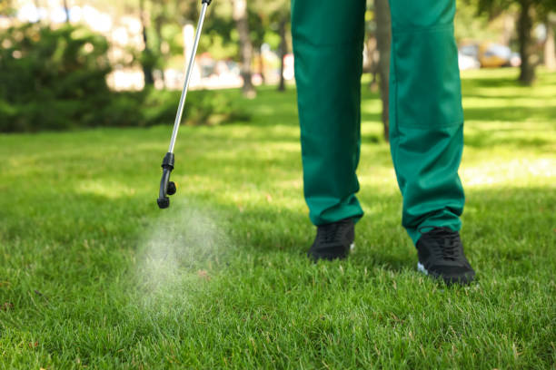 Reliable Brooklyn, NY Pest Control Solutions