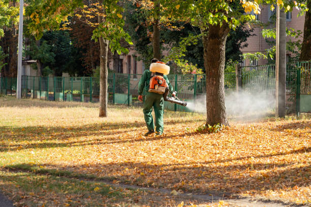 Best Affordable Exterminators  in Brooklyn, NY