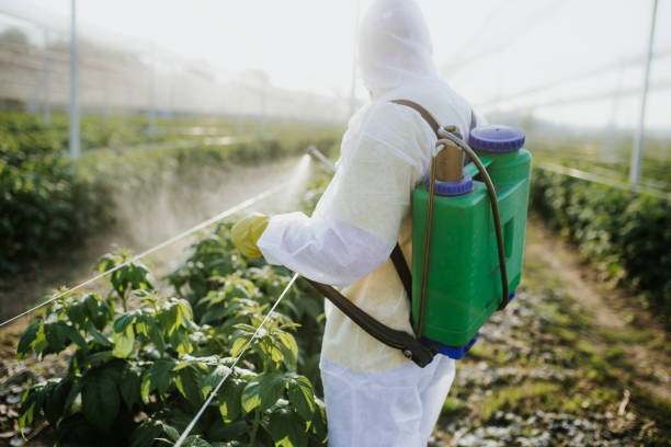 Best Pest Control Near Me  in Brooklyn, NY